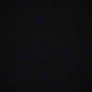 Meet your Posher, Bella